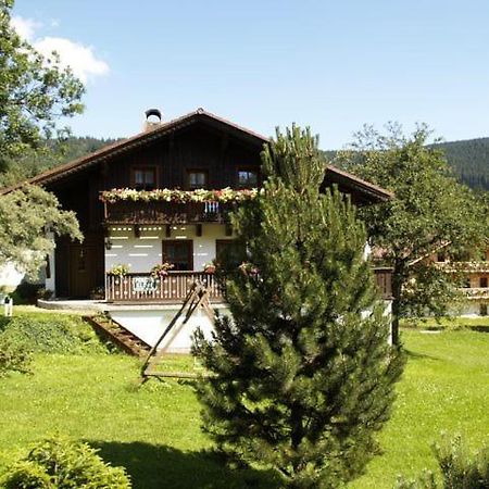 Pension Klose Kubova Huť Exterior foto